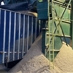 Meet your Posher, Gavin chambers